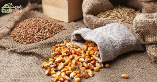 фото: depositphotos.com