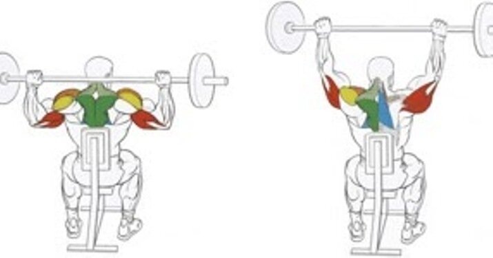 Жим штанги из за головы. Жим гантелей (армейский жим). Армейский жим сидя со штангой. Жим штанги из-за головы стоя. Подъем штанги из за головы стоя.