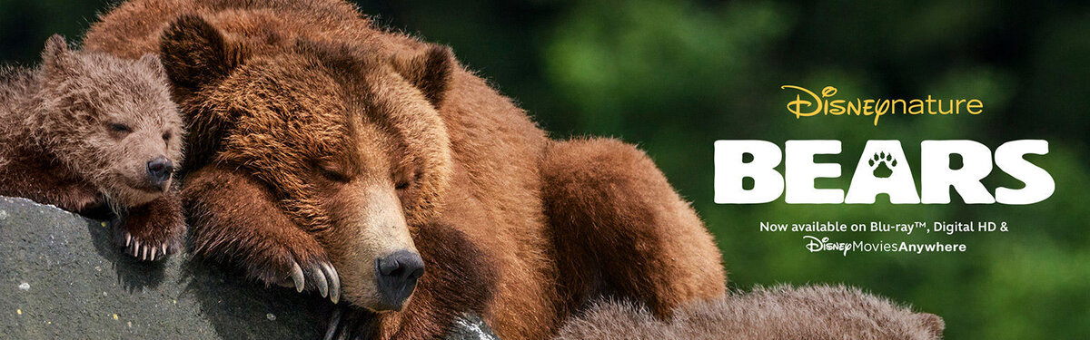 Официальный возрастной рейтинг: 6+ 
Народный возрастной рейтинг: 4+ (по мнению многих знакомых детей и взрослых)
Длительность: 86 минут