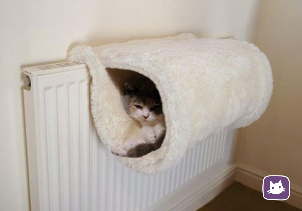 Мягкие лежанки для кошек. Как сделать домик для кошек тепло. Маленькие домики для котят. Как сделать домик для кошек тепло. Домик для кошек.
