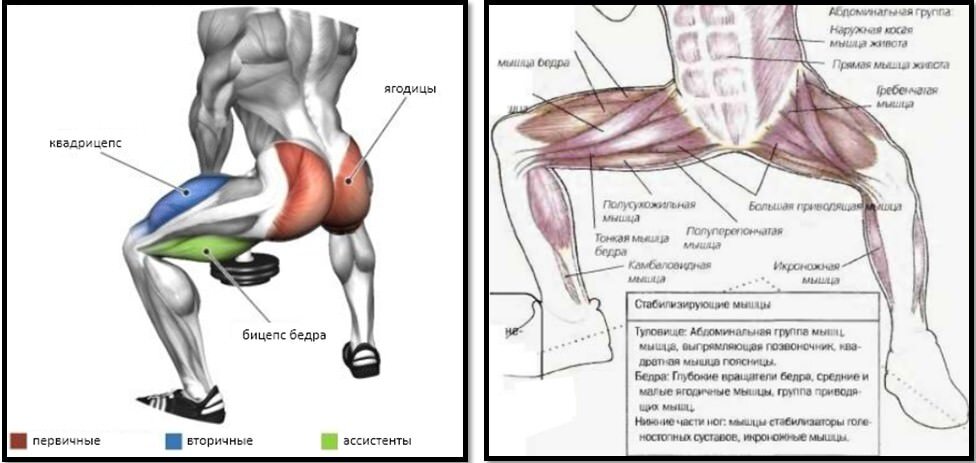 Подтянутая женщина в серых леггинсах с широко раздвинутыми ногами делает повороты | Премиум Фото