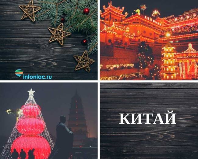 Кактусные елки в разных странах мира