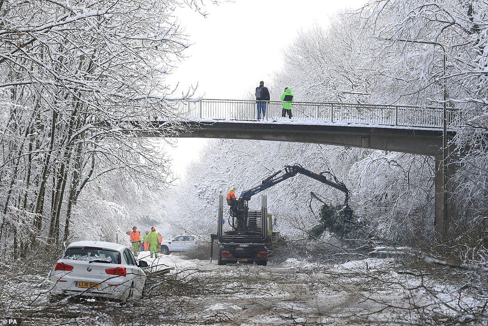 Фото dailymail.co.uk