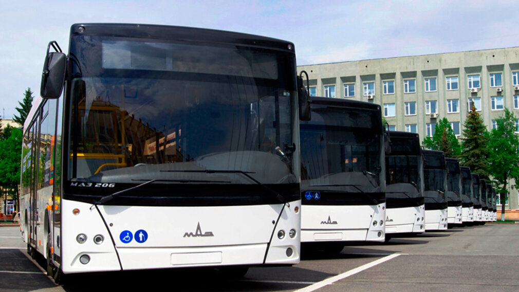 МАЗ 206, компания реализовала за январь 2019 года 58 автобусов