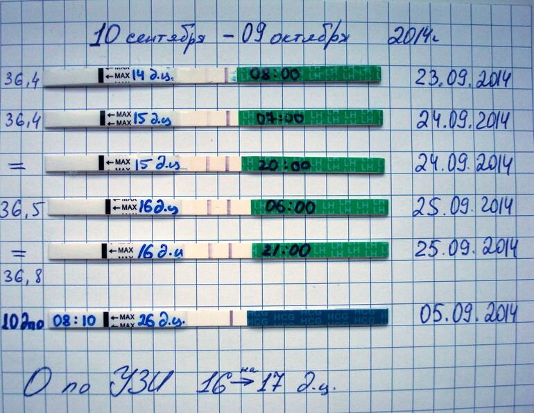 Тесты определяющие овуляцию. Месячные цикл. Симптоматика овуляции. Овуляция на какой день цикла. Как определить овуляцию по циклу.