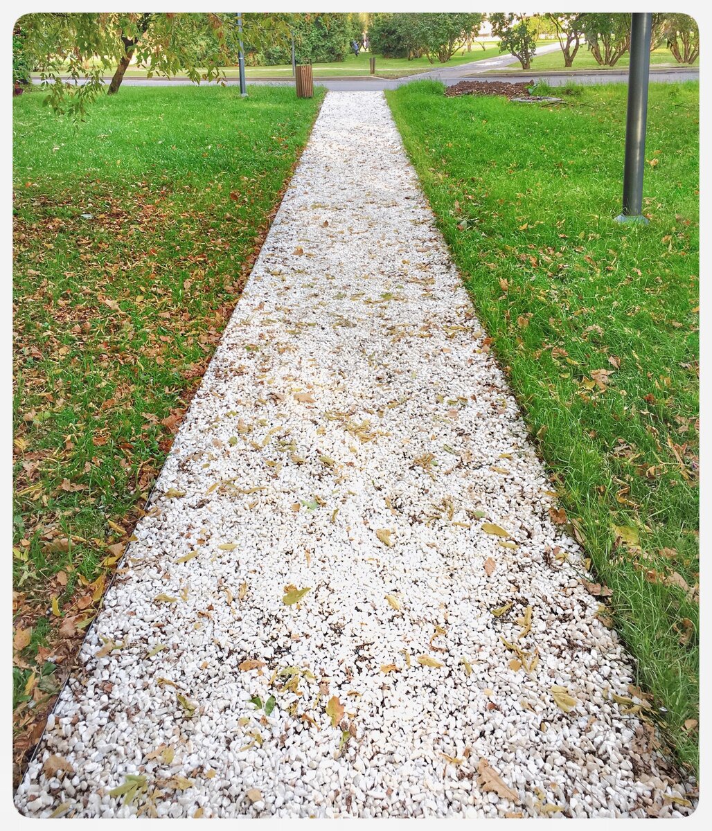 Обработанное фото