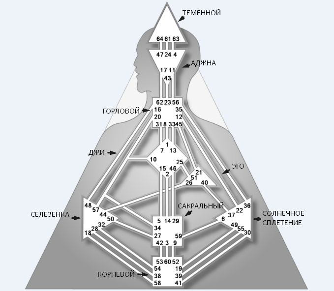 Дизайн человека