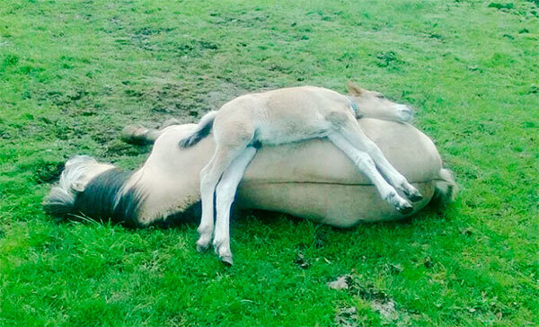 Источник фото сервис Яндекс.Картинки