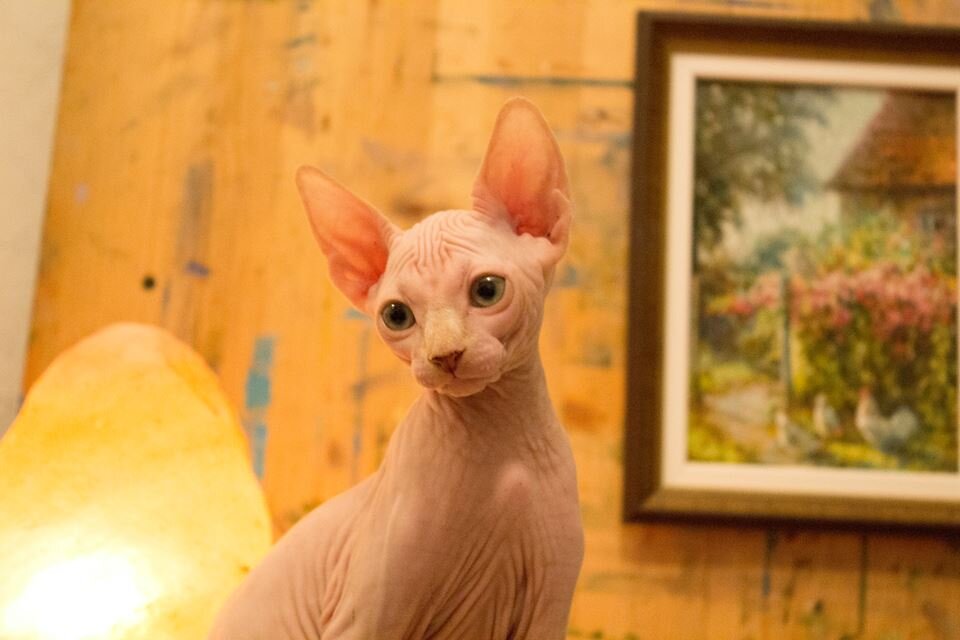 А это - та самая "противная" Валенсия-Васян в детстве