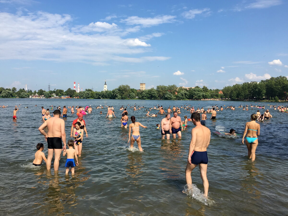 Южный берег Белого озера. Фото автора