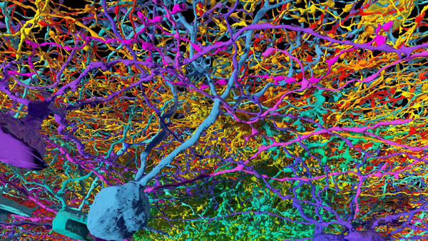 Дартмутская конференция 1956 года