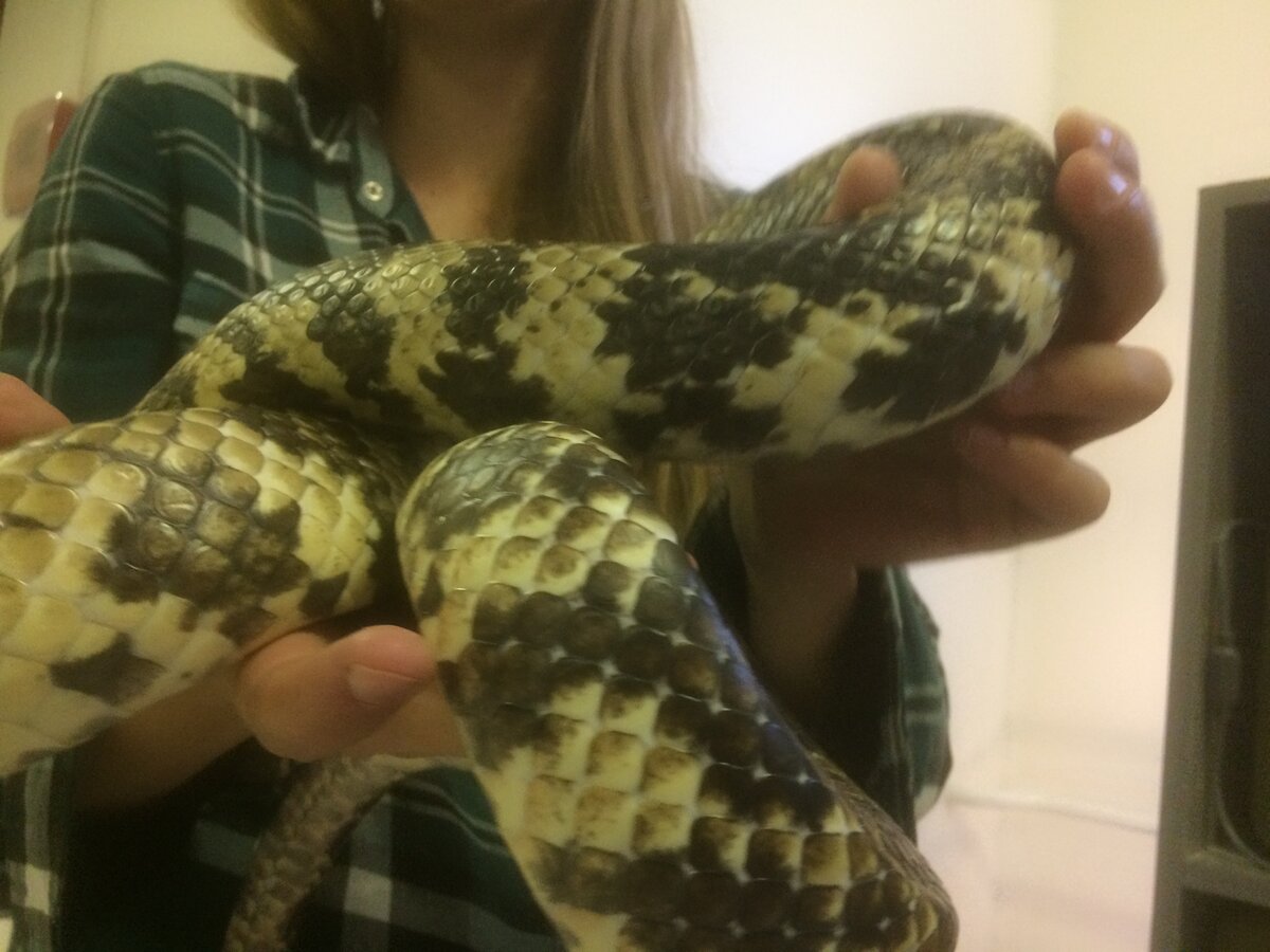 Он совсем не страшный!