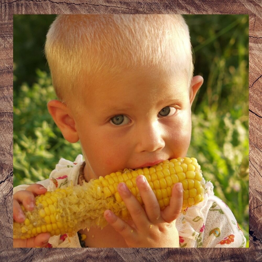 Сладкую молочную кукурузу любят кушать и взрослые и дети. Приготовить ее вкусно сможет каждый из вас, пользуясь рецептом моей Бабули. 