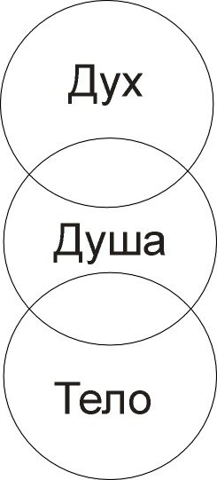 Гречкский взгляд на человека
