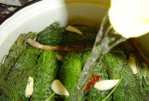 Здоровье Правильное Здоровье Питание ПП ЗОЖ 