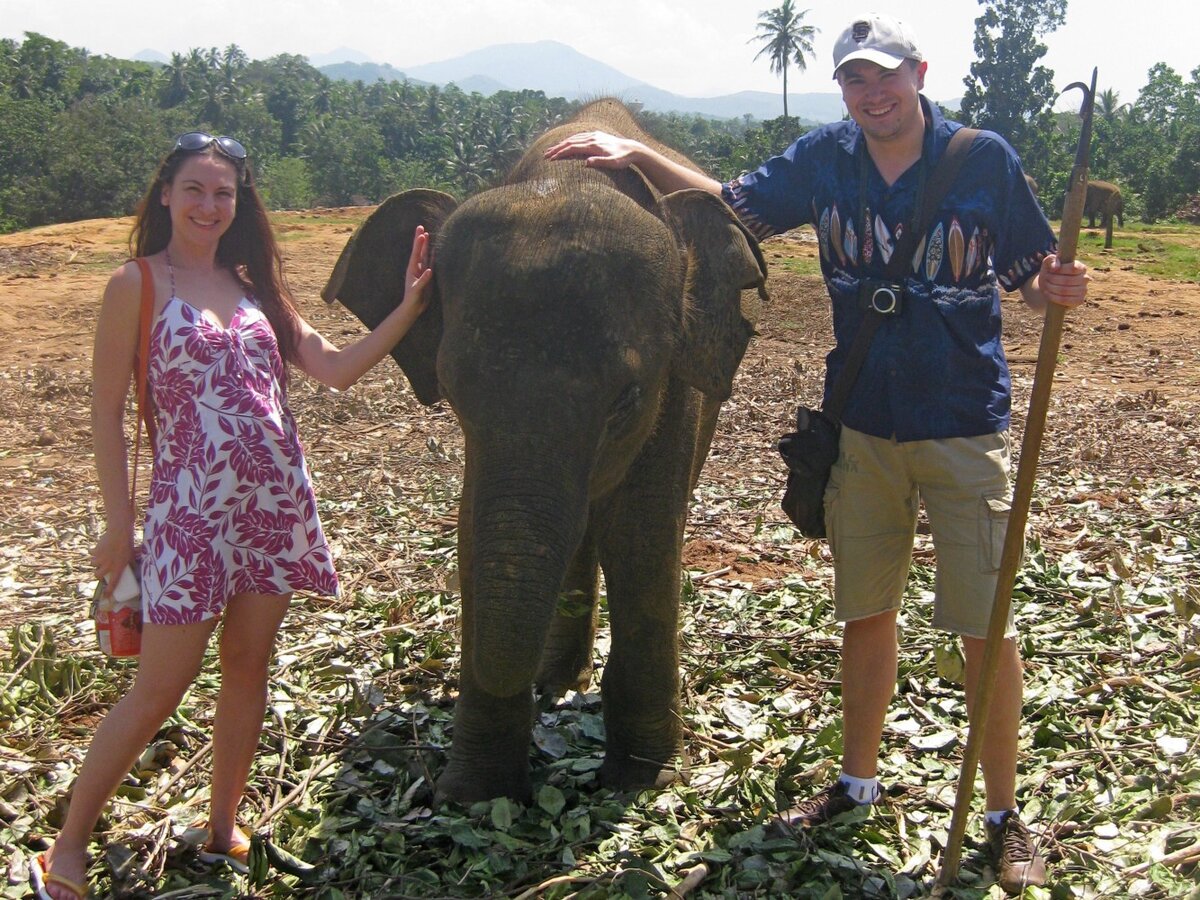 Справа палка, которой мучают бедных слоников