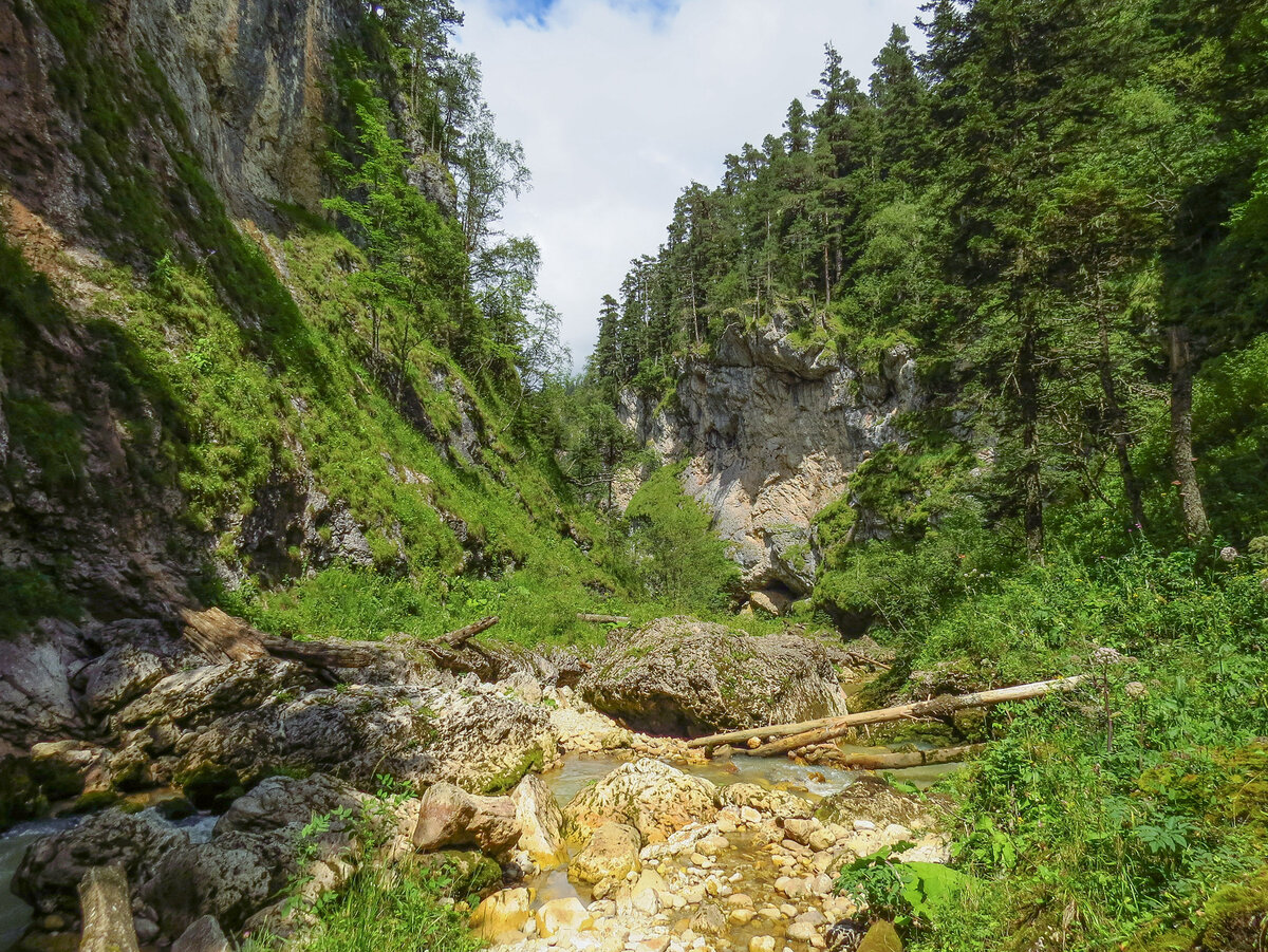 Курджипское ущелье. Каньон Курджипса. Урочище Курджипс. Курджипс достопримечательности.