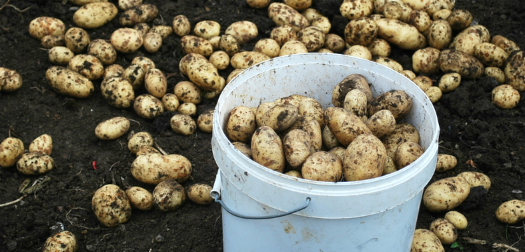 Фотография из открытых источников