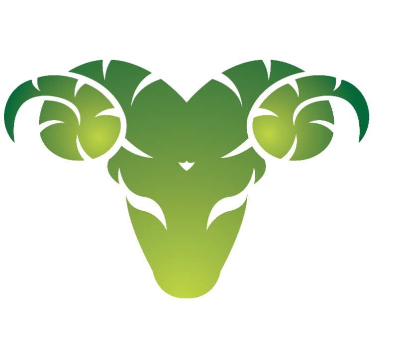 телец зеленый цвет. знак тельца символ. девушка телец. знак телец символ. телец зеленый цвет.