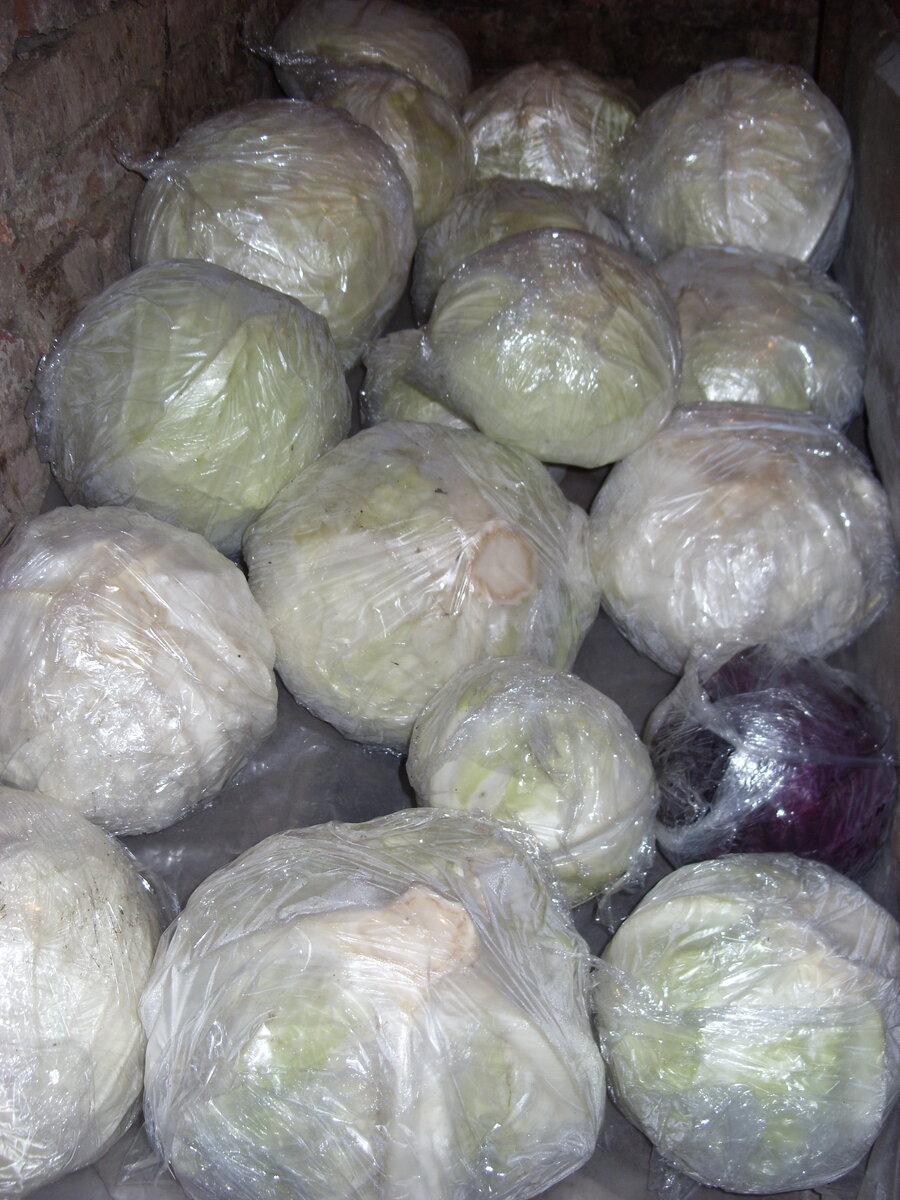 Так и лежит до весны.