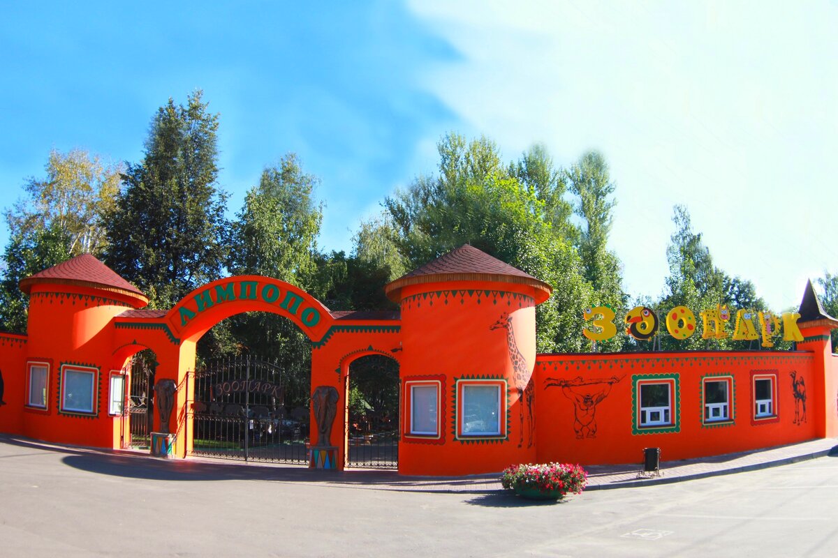 Лимпопо нижний новгород картинки