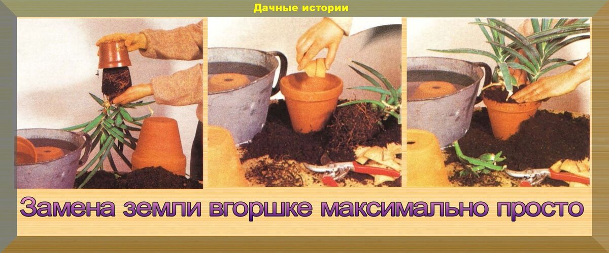https://vk.com/photo-159774511_457242524
