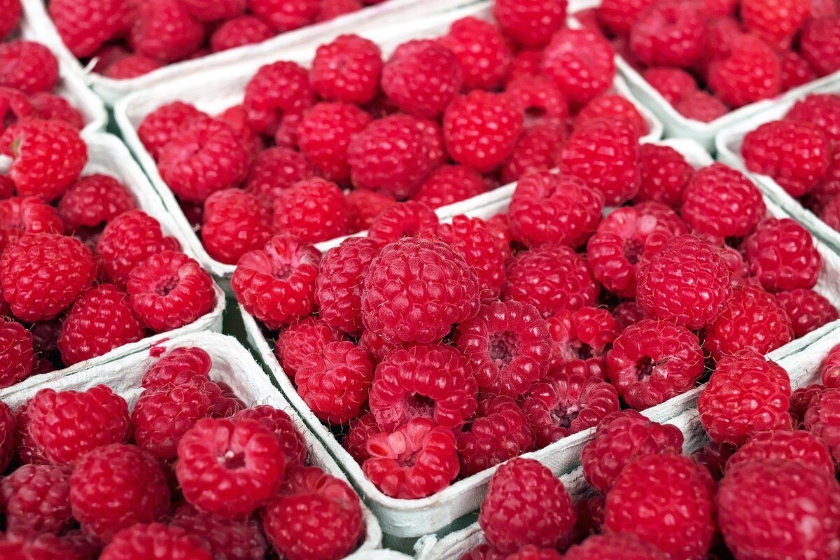 https://cdn.pixabay.com/photo/2016/06/19/00/17/raspberry-1465988_1280.jpg