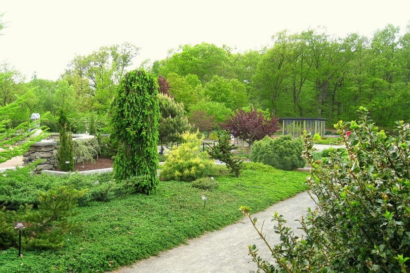ttps://www.jardineriaon.com/wp-content/uploads/2019/09/jardin-botanico-830x554.jpg