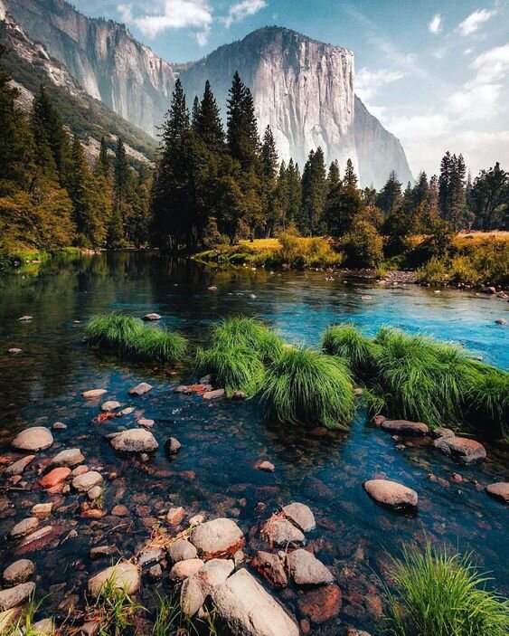 https://www.pinterest.ru/pin/523895369151016248/