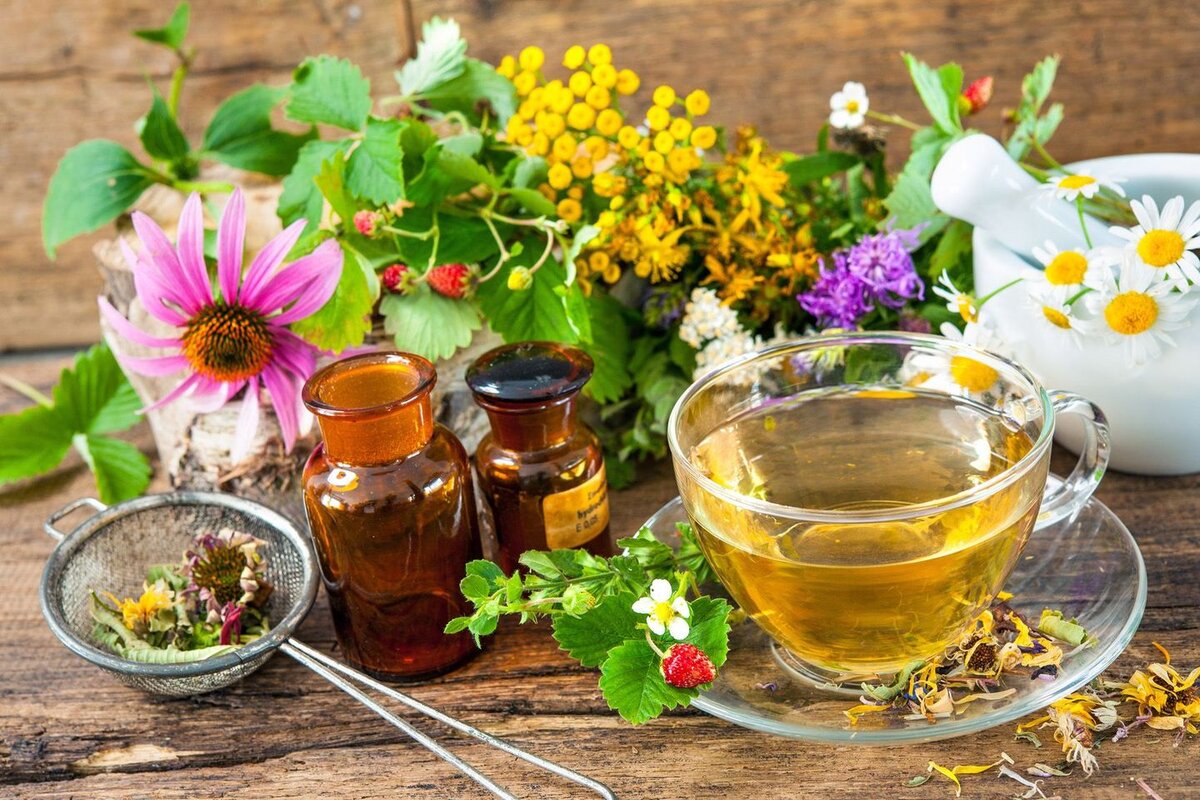 Польза травяных чаев: копеечные средства для вашего здоровья