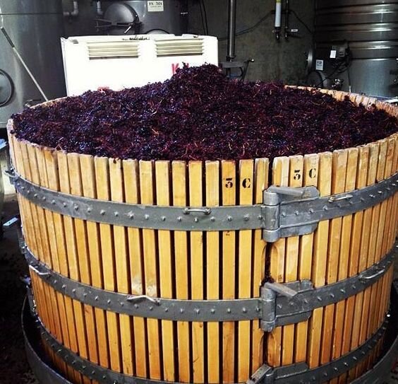 Собранный урожай. Фото по ссылке https://www.pinterest.ru/pin/544091198702941842/