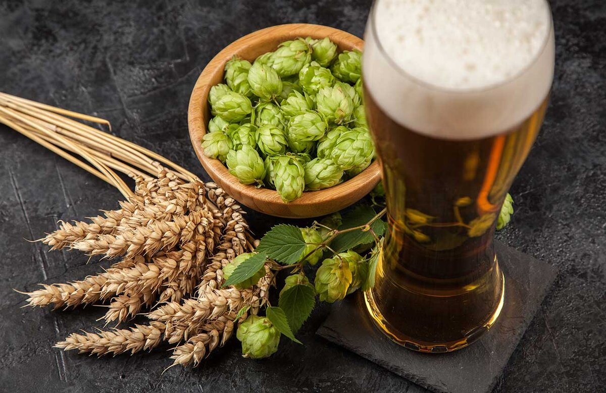Пивной компонент - хмель