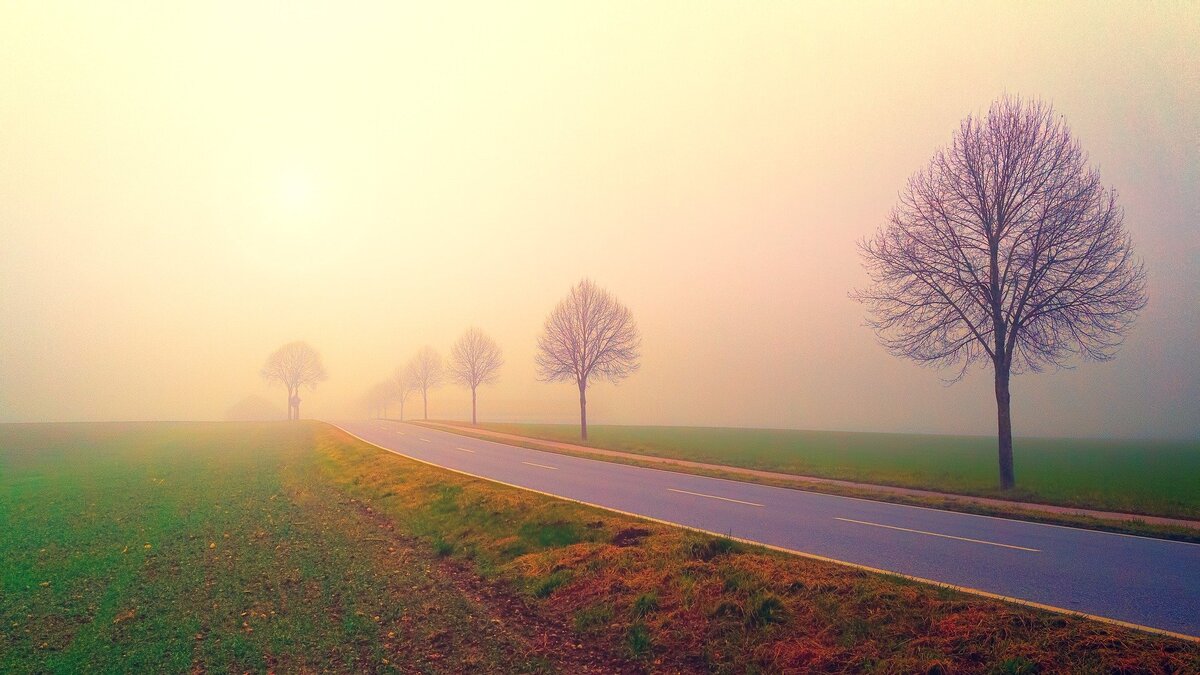 https://pixabay.com/users/jplenio-7645255