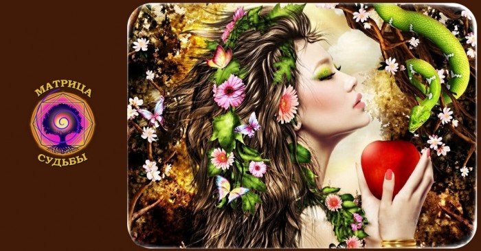 энергетический прогноз на 15 февраля