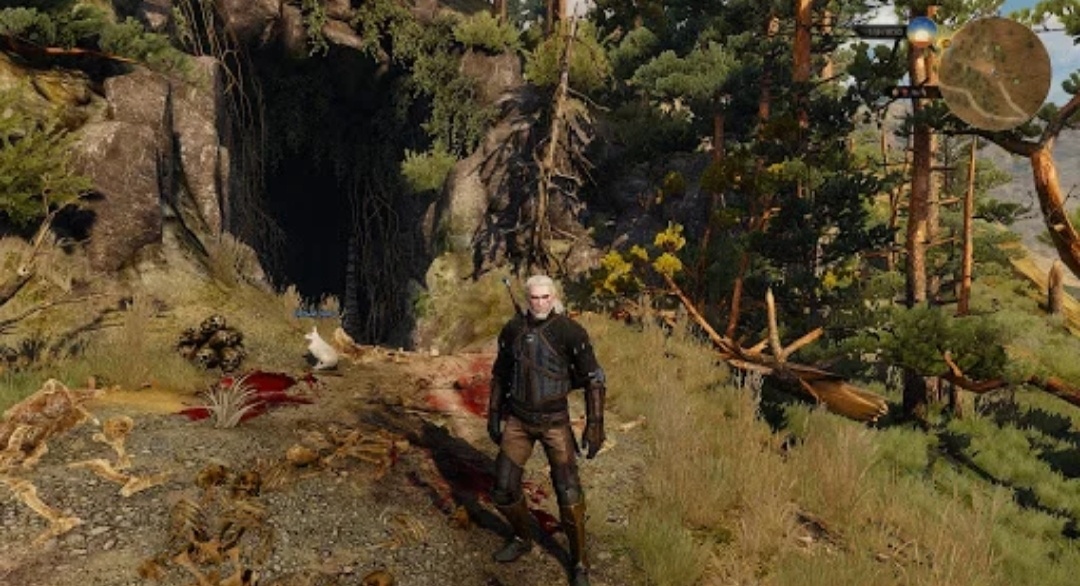 Пасхалка из ведьмака