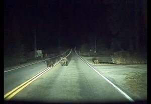 Изображение с камеры Tesla Model 3