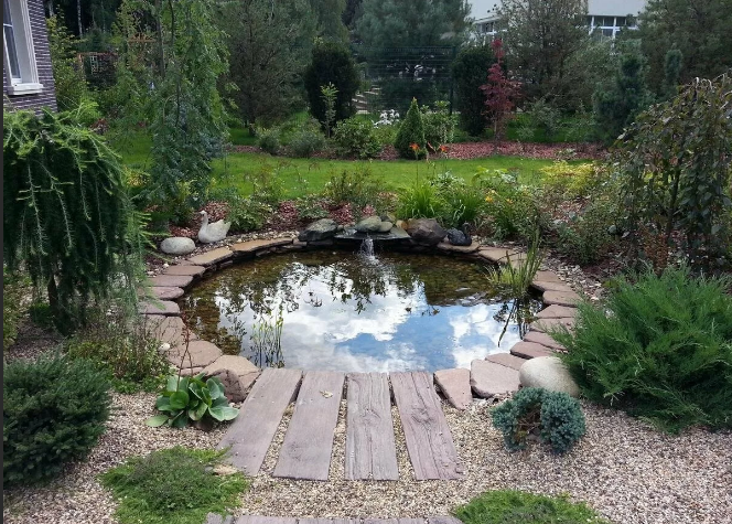 Фотография взята из источника yandex.by