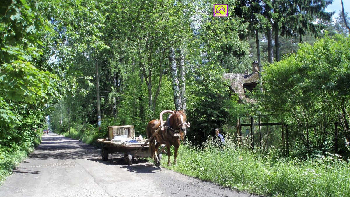 Вырица - дачный пригород Петербурга с атмосферой дореволюционной России |  Под крылом самолета | Дзен