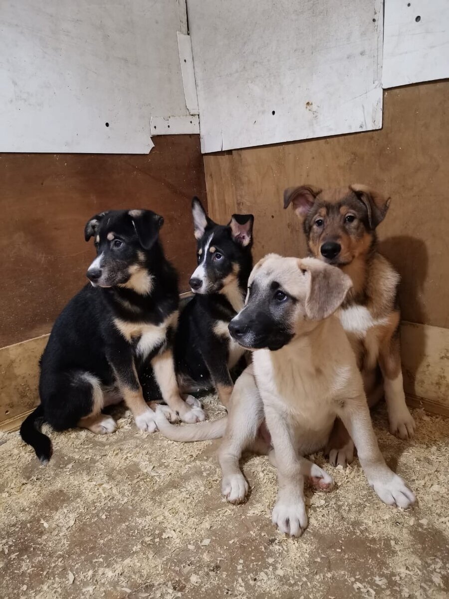 Дружная команда