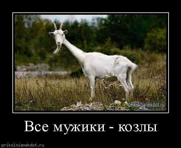 Взято с просторов интернета 