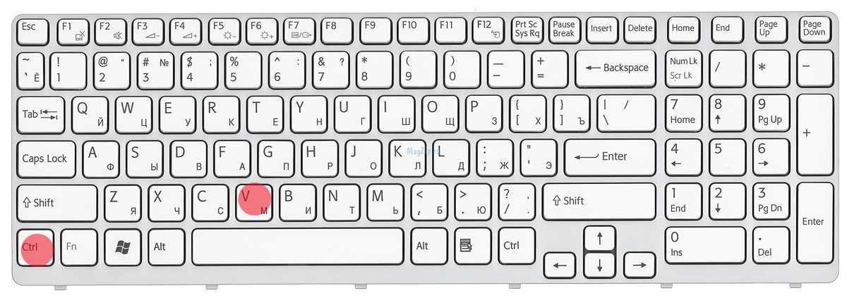 Ctrl+V       -     вставить