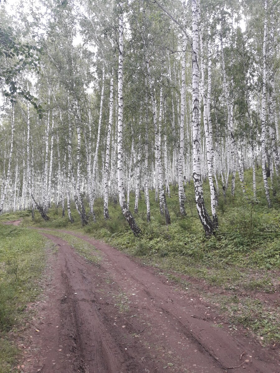 В Америке такого не увидишь)) Русь-Матушка!