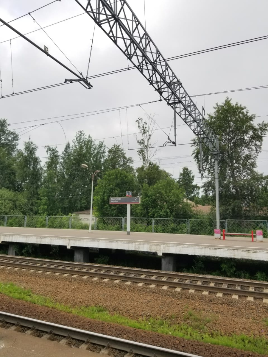 Железная дорога Зеленогорск - Приморск. По заповедным лесам и болотам  Карельского перешейка | Андрей Паровоз | Дзен