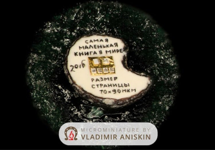 Как выглядит самая маленькая книга в мире? | Hi-News.ru | Дзен