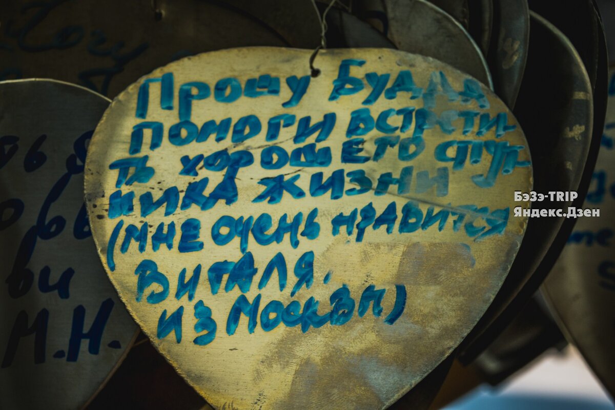 Выходи замуж за моего мужа high hopes. Счастлива замужем.
