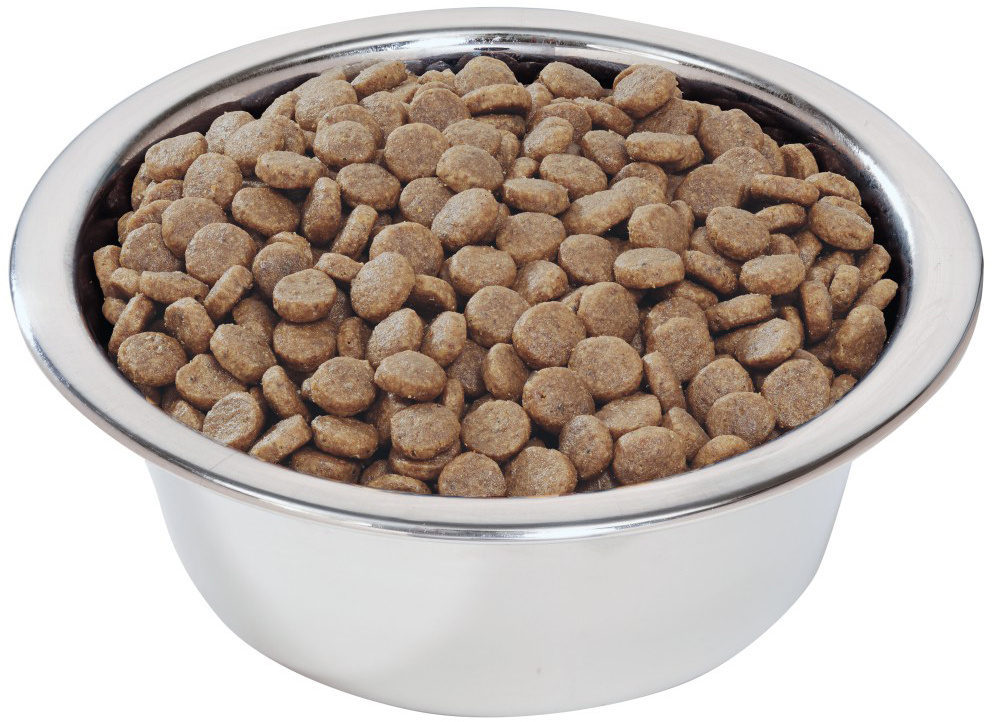 #корм для собак 