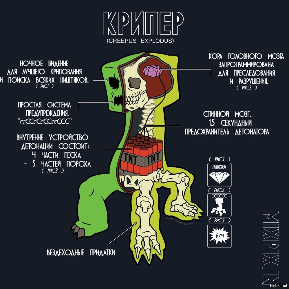 Что находится внутри крипера Крипер Майнкрафт Теории Дзен