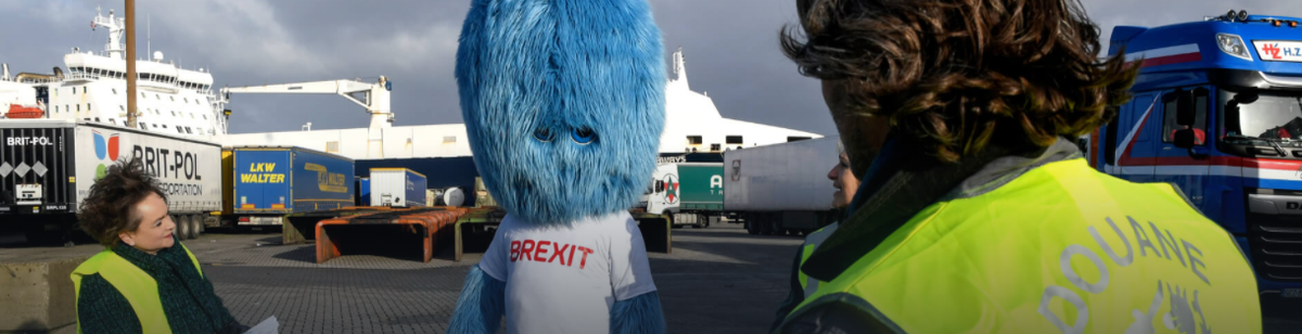 Фот. Port of Rotterdam/Ries van Wendel de Joode/HBR 