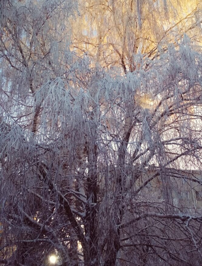 Настроение - ледяное дерево