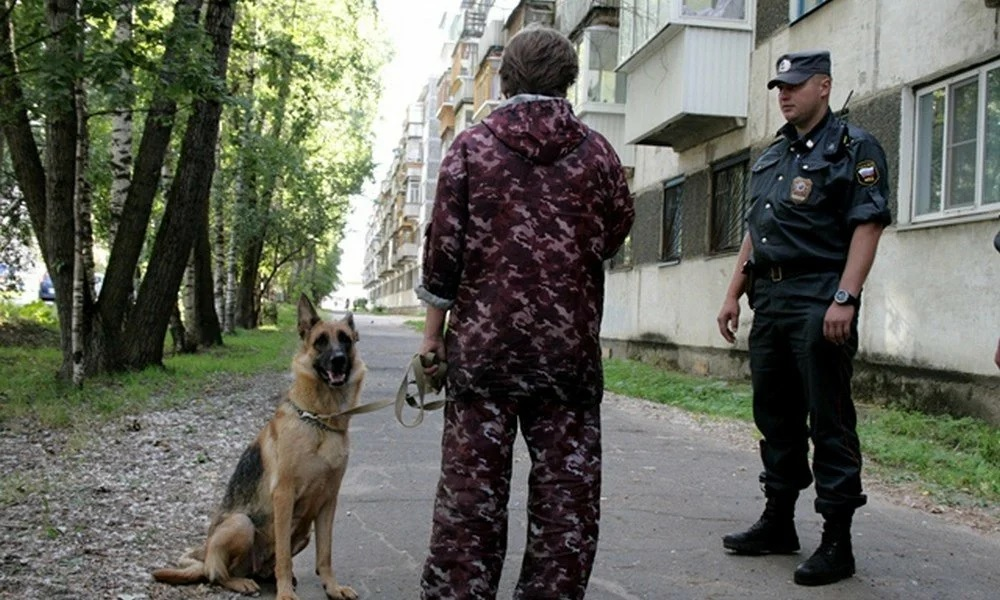 Хозяин полиции. Полицейский намордник для собак. Выгул собак. Штраф за собаку. Выгул собак без намордника и поводка.